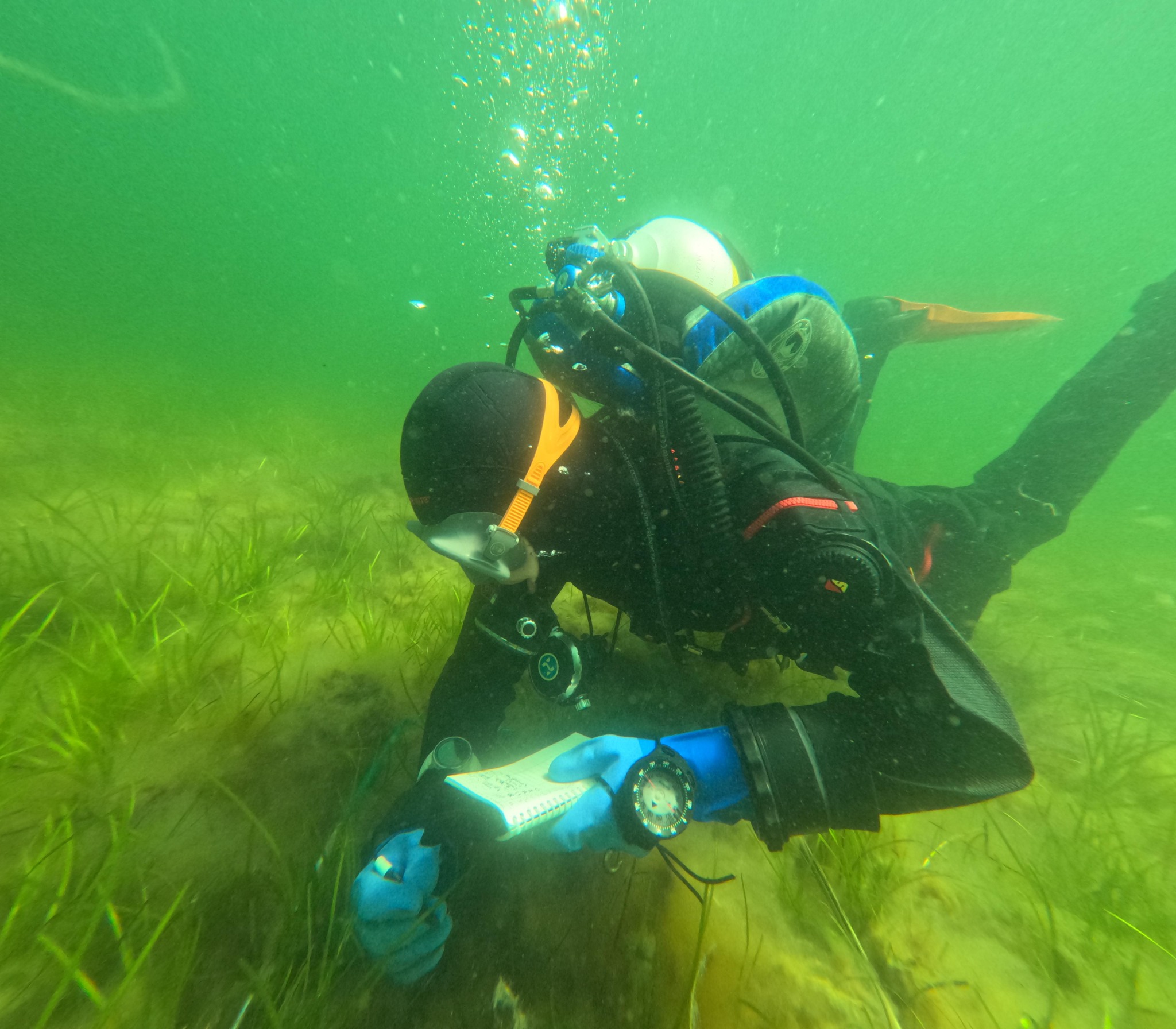 A diver writes observations on a slate underwater